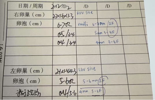 37 岁卵泡不均 + 男方精子双低:受精率、成囊率双 100%,拿下 10 颗囊胚