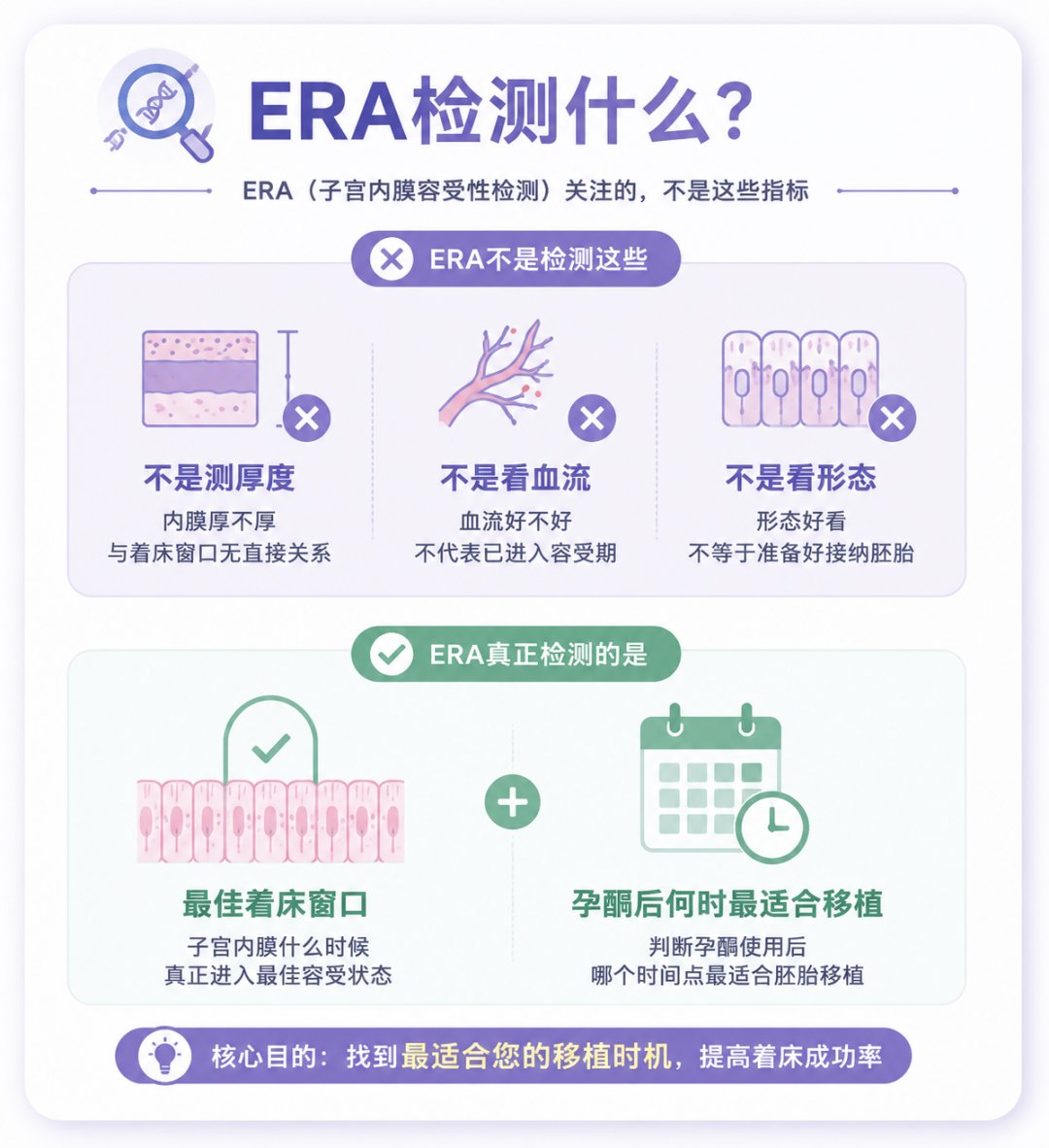 不是所有人的种植窗口都一样:ERA 如何帮助实现个体化胚胎移植