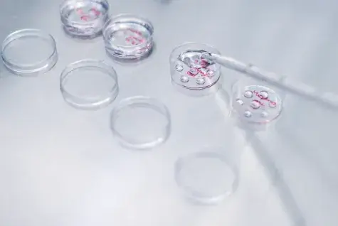 微信图片_20251208092331.png